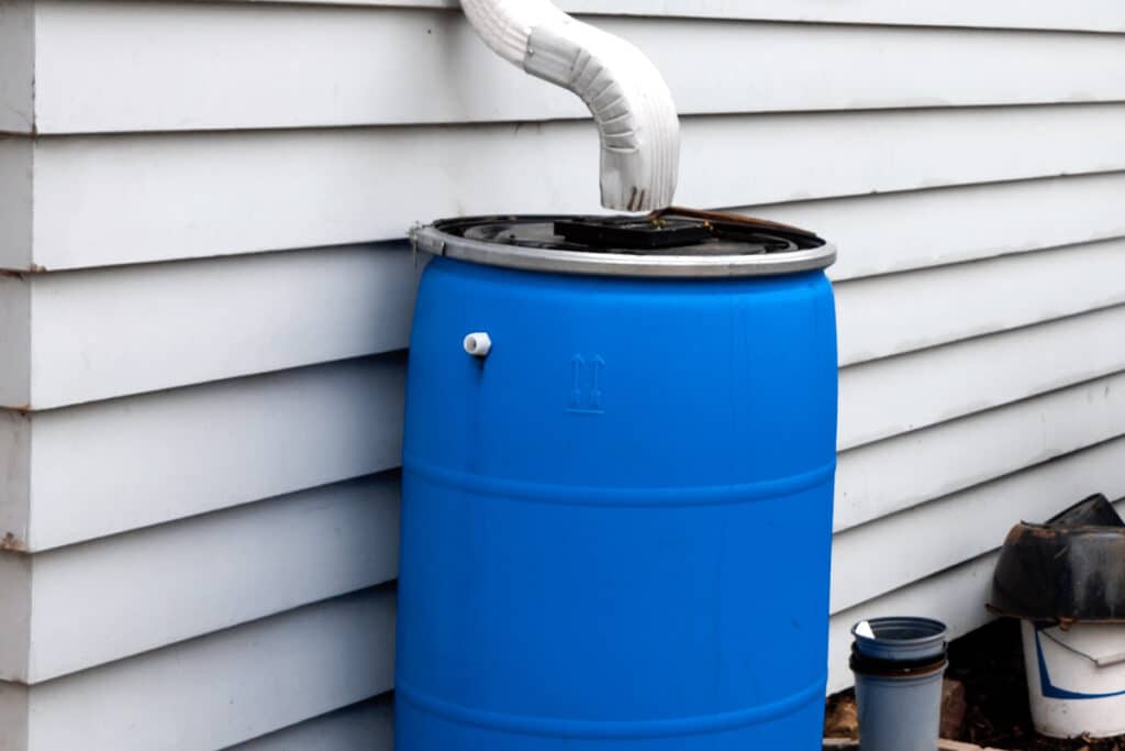 rain barrel
